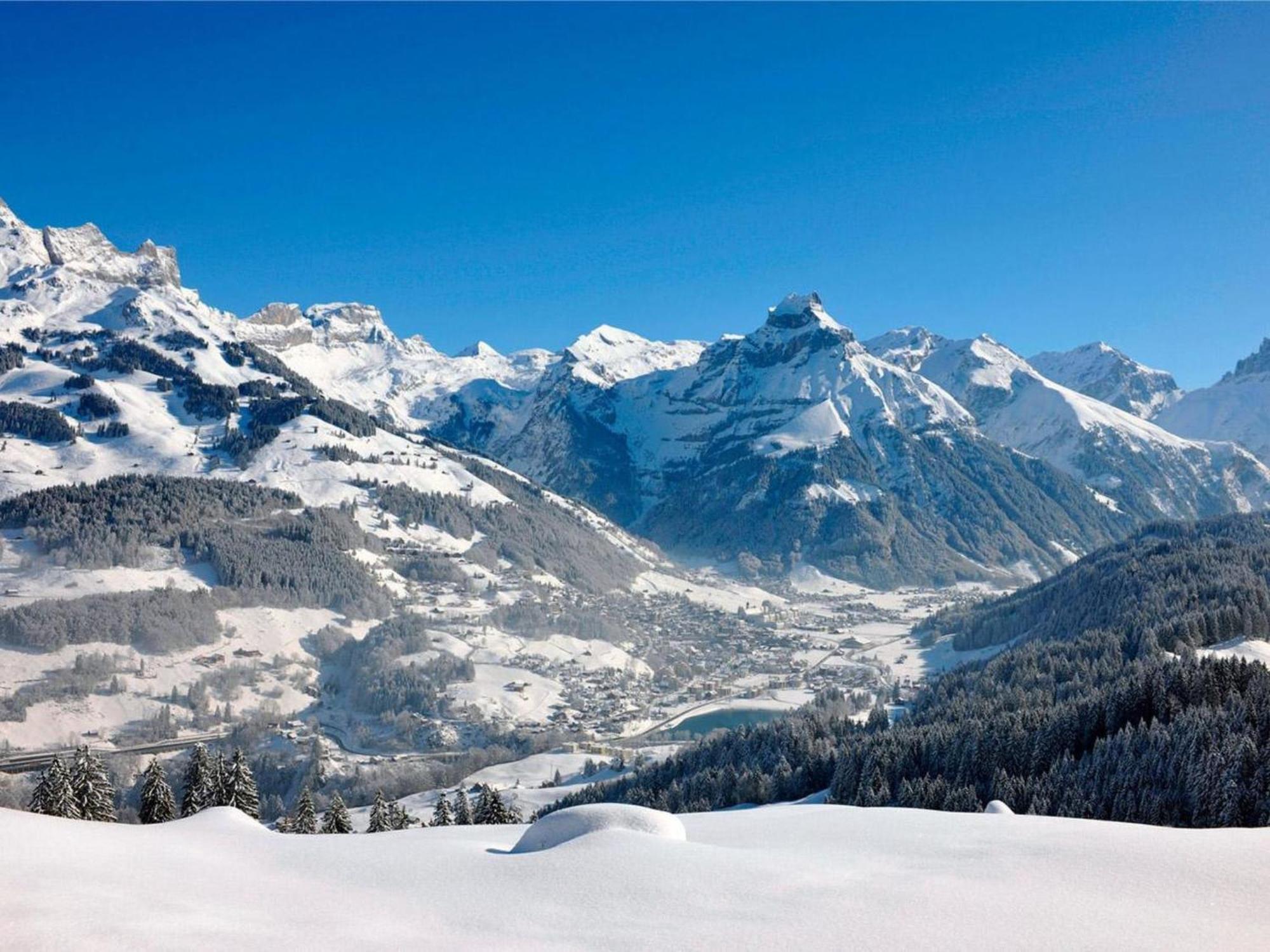 Apartment Villa Alpenblick Wolfenschiessen By Interhome エクステリア 写真